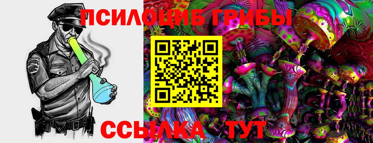 Новоалтайск  Галлюциногенные грибы прущие грибы  Вход с VPN 